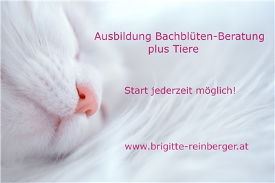 Firmenbild 2