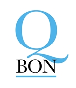 MS IT Consulting GmbH -  Q-Bon