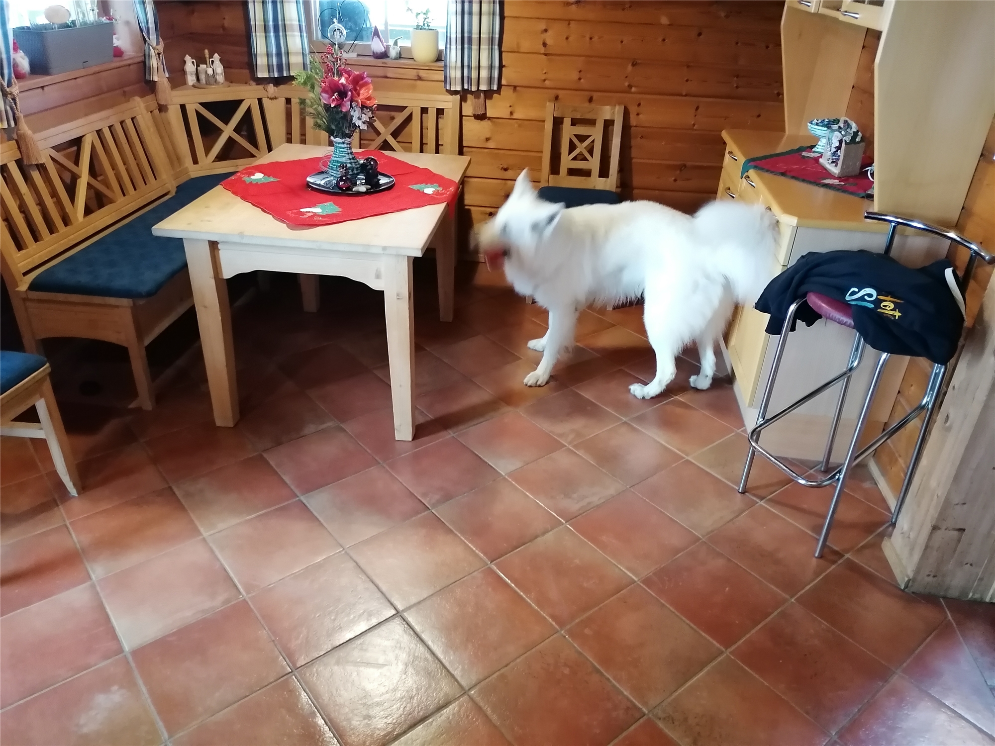 Firmenbild 3