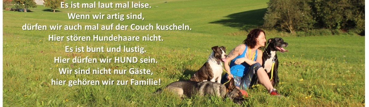 Titelbild