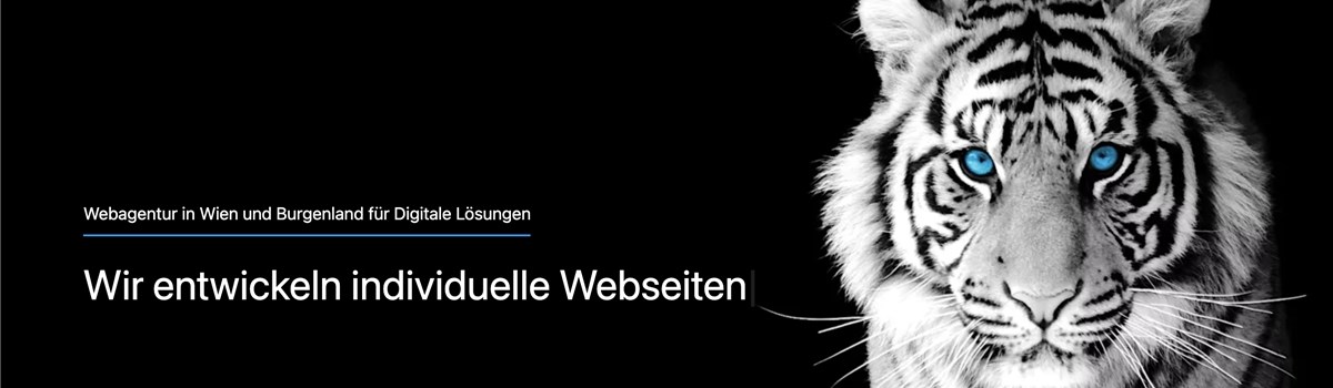 Titelbild