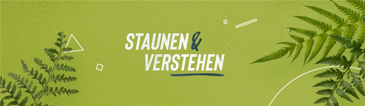 Titelbild