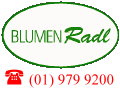 Blumen Radl GmbH