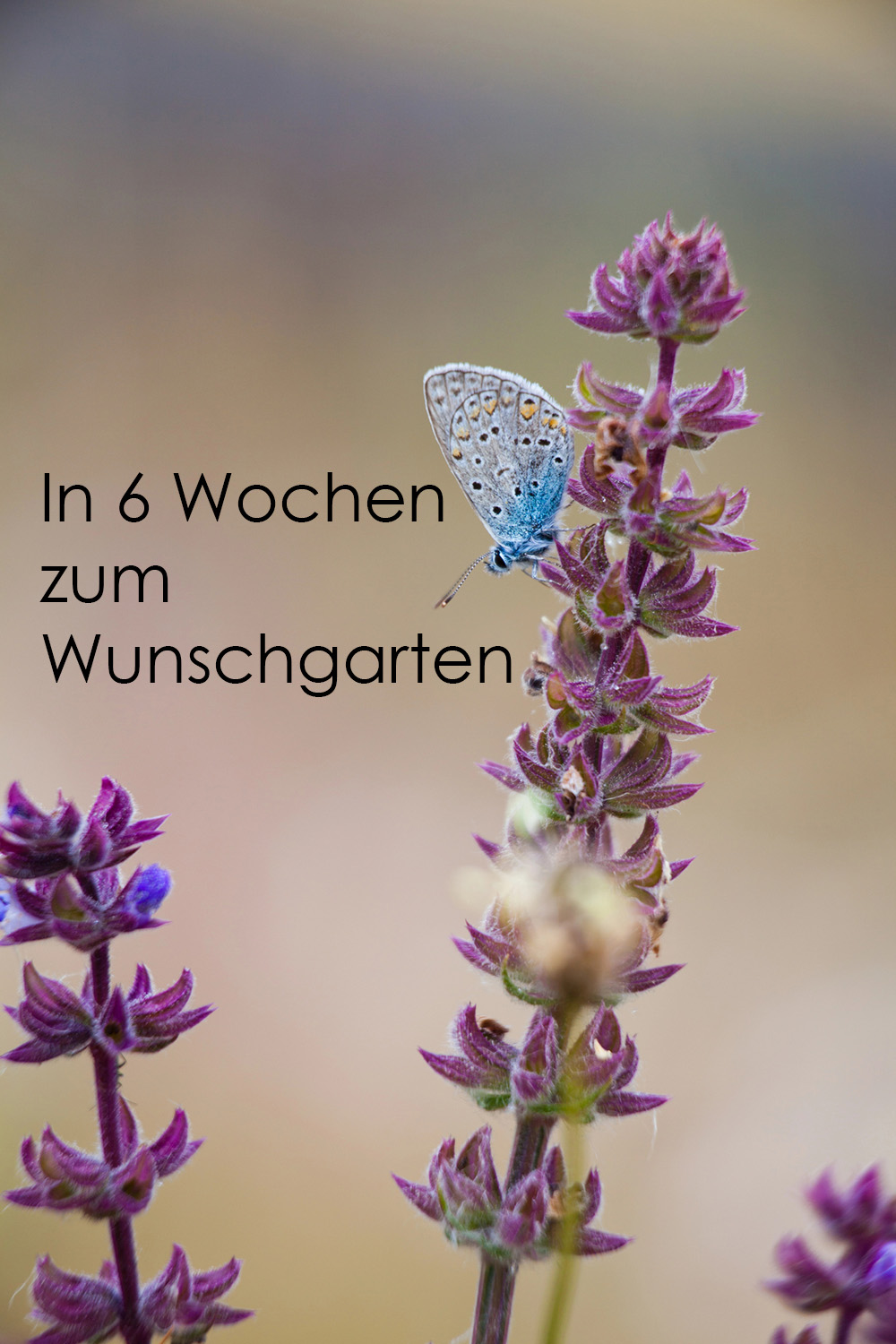 Firmenbild 3