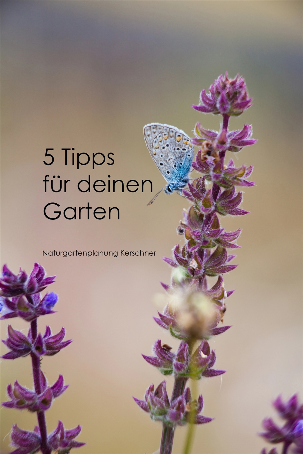 Firmenbild 5