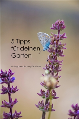 Firmenbild 5