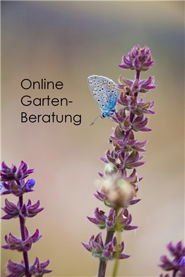 Firmenbild 4