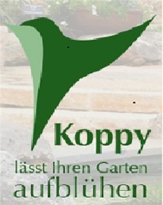 Werner Koppensteiner - Koppy.at
