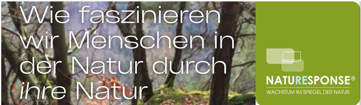 Titelbild