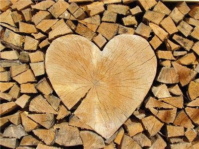 Firmenbild 3