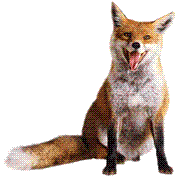 Waltraud Fuchs