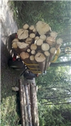 Firmenbild 2