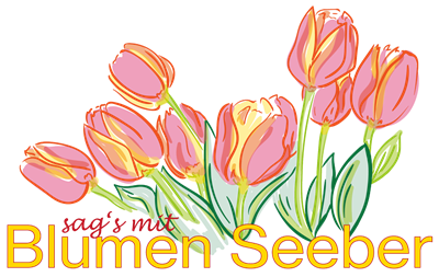 Alexandra Neumayer-Seeber