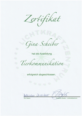 Firmenbild 5