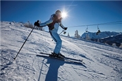Firmenbild 7