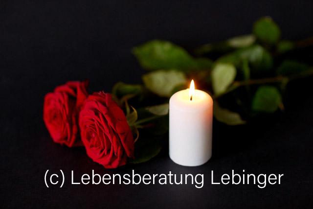 Firmenbild 6