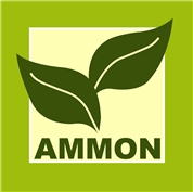 Ammon KG.