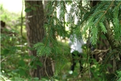 Firmenbild 3