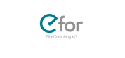 Efor Consulting KG