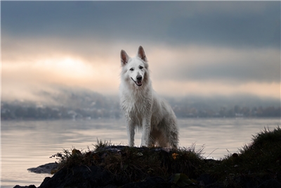 Firmenbild 1