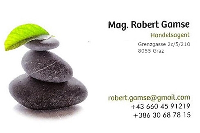 Robert Gamse, MPP