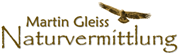 Martin Anton Valentin Gleiß