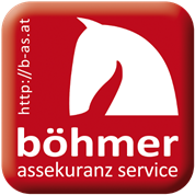 Mag. Markus Böhmer -  böhmer assekuranz service Mag. Markus Böhmer