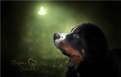 Firmenbild 6