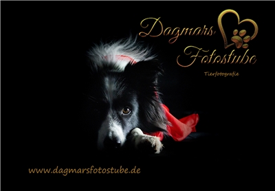 Dagmar Angerer