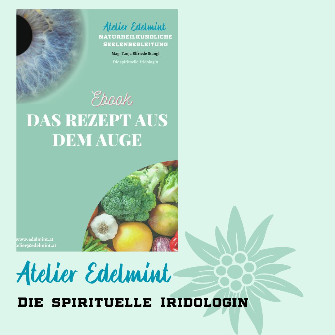 Firmenbild 3