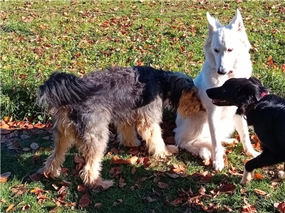 Firmenbild 4