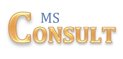 MS CONSULT e.U.
