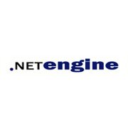 NETengine GmbH