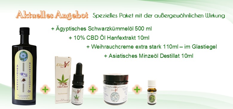 Firmenbild 4