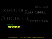 Mario Franz Wachmann