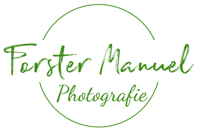 Manuel Forster