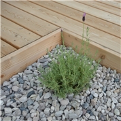 Firmenbild 5