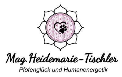 Firmenbild 6