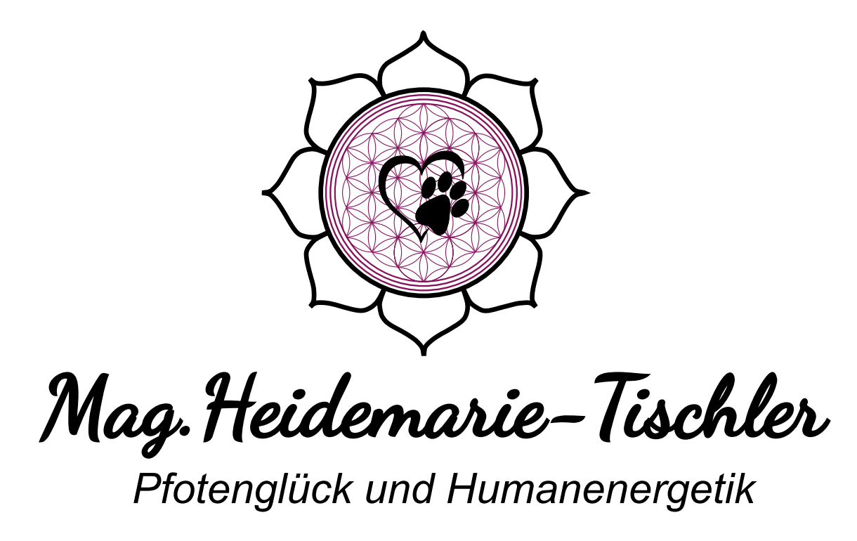 Firmenbild 6